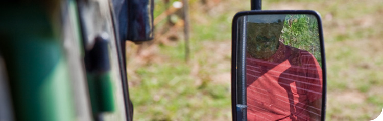 La Porta di Vertine image