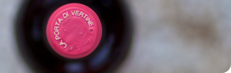 La Porta di Vertine image