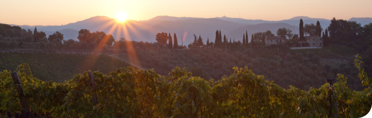 La Porta di Vertine image